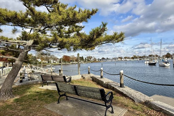 Wickford Dropdown Update